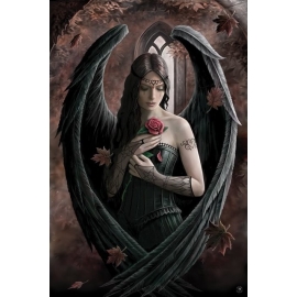 Posters Plakát, Obraz - Anne Stokes - angel rose, (61 x 91,5 cm)