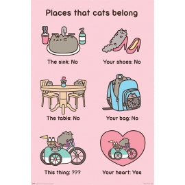 Posters Plakát, Obraz - Pusheen - Places Cats Belong, (61 x 91,5 cm)