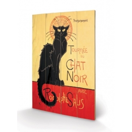 Posters Dřevěný obraz Chat Noir, (40 x 59 cm)