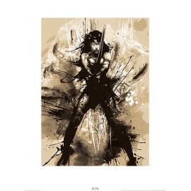 Posters Obraz, Reprodukce - Batman V Superman - Wonder Woman Art, (60 x 80 cm)