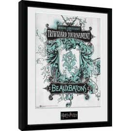 Posters Obraz na zeď - Harry Potter - Triwizard Beaux Batons