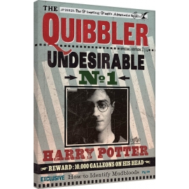 Posters Obraz na plátně Harry Potter - Quibbler, (60 x 80 cm)