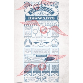 Posters Plakát, Obraz - Harry Potter - Quidditch At Hogwarts, (61 x 91,5 cm)