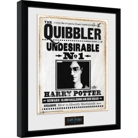Posters Obraz na zeď - Harry Potter - Quibler