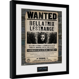 Posters Obraz na zeď - Harry Potter - Bellatrix