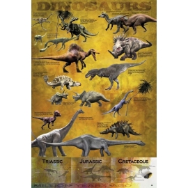 Posters Plakát, Obraz - Dinosaurus - chart, (61 x 91,5 cm)