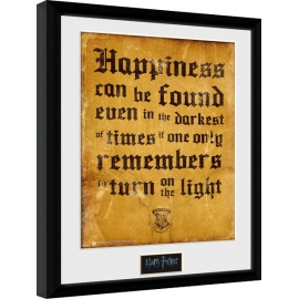Posters Obraz na zeď - Harry Potter - Happiness Can Be