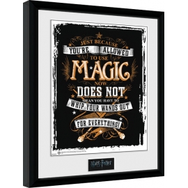 Posters Obraz na zeď - Harry Potter - Wands Out