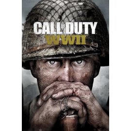 Posters Plakát, Obraz - Call Of Duty: Stronghold - WWII Key Art, (61 x 91,5 cm)