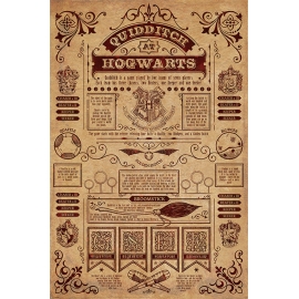 Posters Plakát, Obraz - Harry Potter - Quidditch At Hogwarts, (61 x 91,5 cm)