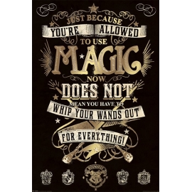 Posters Plakát, Obraz - Harry Potter - Magic, (61 x 91,5 cm)