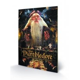 Posters Dřevěný obraz Harry Potter - Dumbledore, (40 x 59 cm)