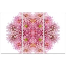 Posters Obraz na plátně Alyson Fennell - Pink Chrysanthemum Explosion, (100 x 150 cm)