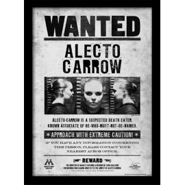 Posters Obraz na zeď - Harry Potter - Alecto Wanted