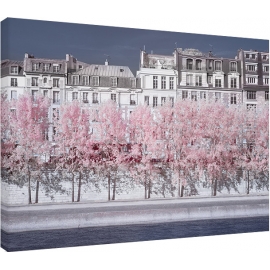 Posters Obraz na plátně David Clapp - River Seine Infrared, Paris, (80 x 60 cm)