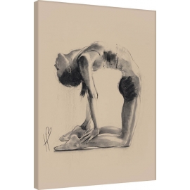 Posters Obraz na plátně Hazel Bowman - Camel Pose, (60 x 80 cm)