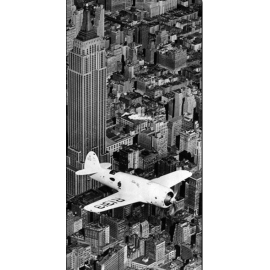 Posters Reprodukce Hawks airplane in flight over New York city, 1938 , (100 x 50 cm)