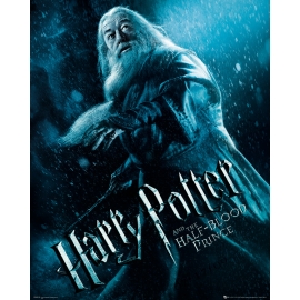 Posters Reprodukce Harry Potter a Princ dvojí krve - Albus Brumbál , (60 x 80 cm)