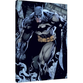 Posters Obraz na plátně Batman - Prowl, (60 x 80 cm)