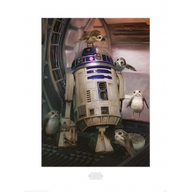 Posters Obraz, Reprodukce - Star Wars: Poslední z Jediů - R2-D2 & Porgs, (60 x 80 cm)