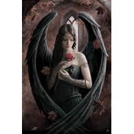 Posters Plakát, Obraz - Anne Stokes - angel rose, (61 x 91,5 cm)