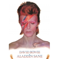 Posters Plakát, Obraz - David Bowie - Aladdin Sane, (61 x 91,5 cm)