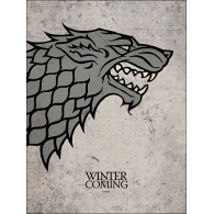 Posters Obraz, Reprodukce - Hra o Trůny - Game of Thrones - Stark, (60 x 80 cm)