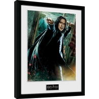 Posters Obraz na zeď - Harry Potter - Snape Wand