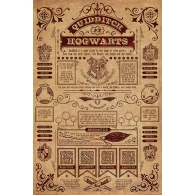 Posters Plakát, Obraz - Harry Potter - Quidditch At Hogwarts, (61 x 91,5 cm)