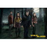 Posters Plakát, Obraz - Wolfblood - Season 3 Cast, (91,5 x 61 cm)