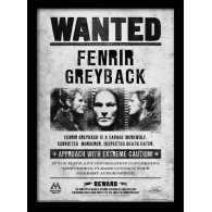 Posters Obraz na zeď - Harry Potter - Fenrir Wanted