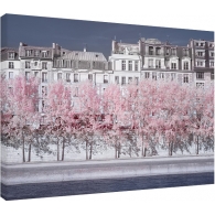 Posters Obraz na plátně David Clapp - River Seine Infrared, Paris, (80 x 60 cm)