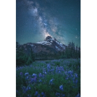 Posters Umělecké fotografie Milky Way Above Mt. Jefferson, Steve Schwindt