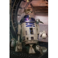 Posters Plakát, Obraz - Star Wars: Poslední z Jediů - R2-D2 & Porgs, (61 x 91,5 cm)