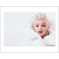 Posters Reprodukce Marilyn Monroe - White , (50 x 40 cm)