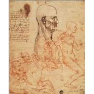 Posters Reprodukce Leonardo Da Vinci - Profil muže a studie dvou jezdců, (35 x 50 cm)