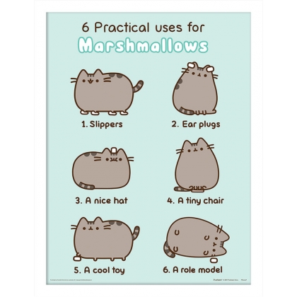 Posters Obraz na zeď - Pusheen - Practical Uses for Marshmallows