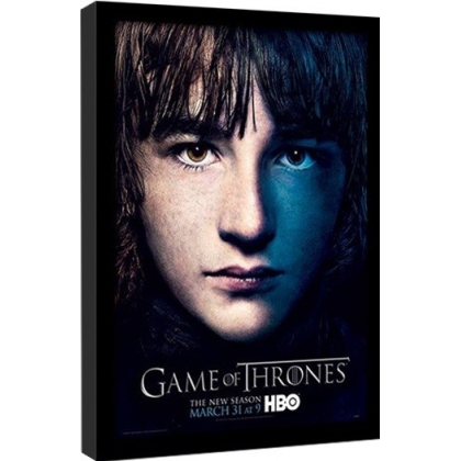 Posters Obraz na zeď - GAME OF THRONES 3 - bran