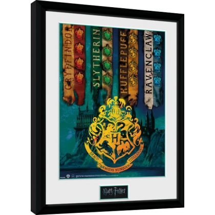 Posters Obraz na zeď - Harry Potter - House Flags