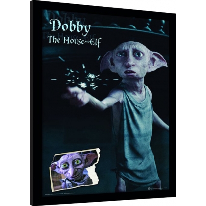 Posters Obraz na zeď - Harry Potter - Dobby