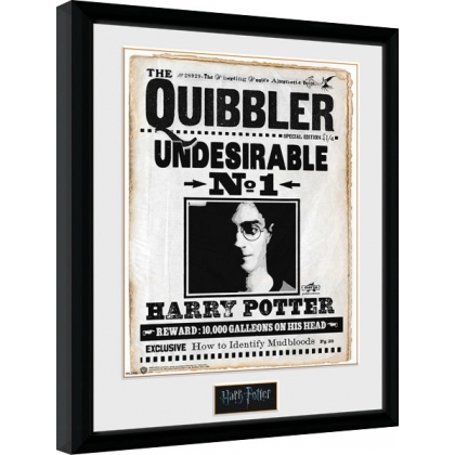 Posters Obraz na zeď - Harry Potter - Quibler