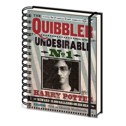 Posters Harry Potter - Quibbler Zápisník