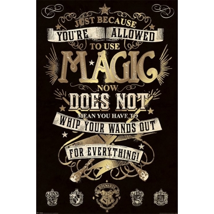 Posters Plakát, Obraz - Harry Potter - Magic, (61 x 91,5 cm)