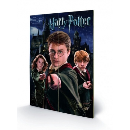 Posters Dřevěný obraz Harry Potter – Harry, Ron, Hermione, (40 x 59 cm)