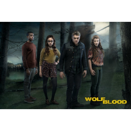 Posters Plakát, Obraz - Wolfblood - Season 3 Cast, (91,5 x 61 cm)