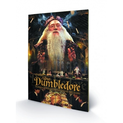 Posters Dřevěný obraz Harry Potter - Dumbledore, (40 x 59 cm)