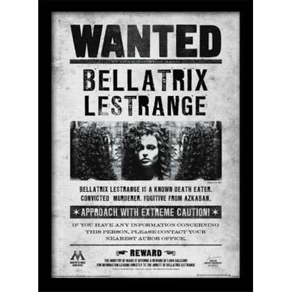 Posters Obraz na zeď - Harry Potter - Bellatrix Wanted