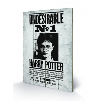 Posters Dřevěný obraz Harry Potter - Undesirable No1, (40 x 59 cm)