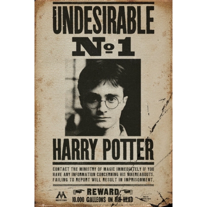 Posters Plakát, Obraz - HARRY POTTER - undersirable n2, (61 x 91,5 cm)