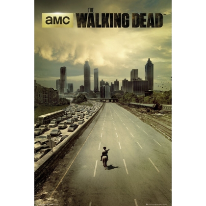 Posters Plakát, Obraz - THE WALKING DEAD - city, (61 x 91,5 cm)